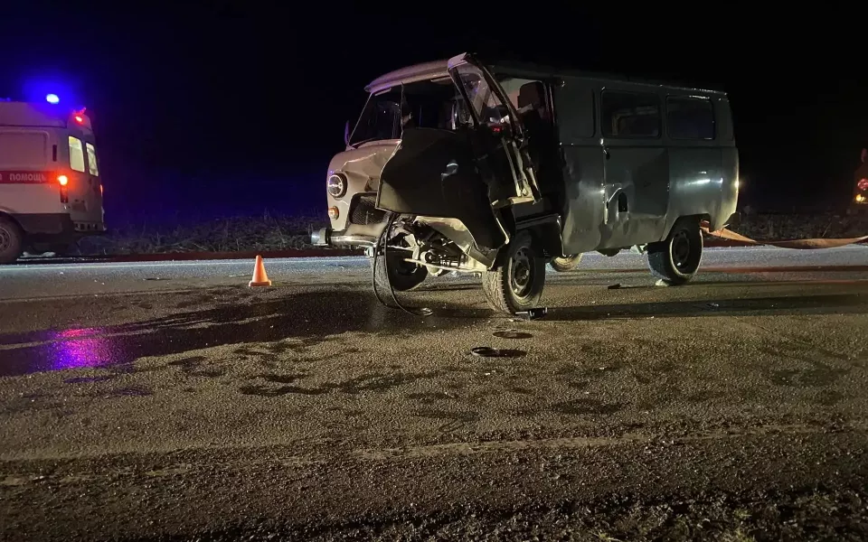 В Республике Алтай водитель УАЗа насмерть сбил корову, а сам попал в больницу