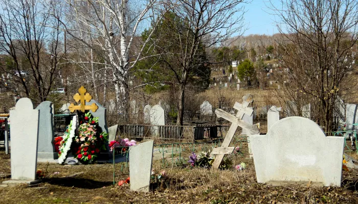 Жительница Алтайского края украла букет роз с могилы, чтобы пофотографироваться