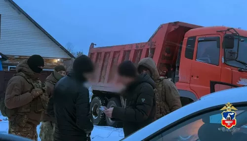 Бизнесмены накопали у аэропорта Барнаула 4,5 тысячи тонн земли и продали под овощи