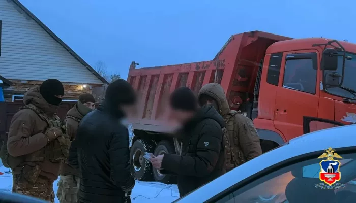 Бизнесмены накопали у аэропорта Барнаула 4,5 тысячи тонн земли и продали под овощи