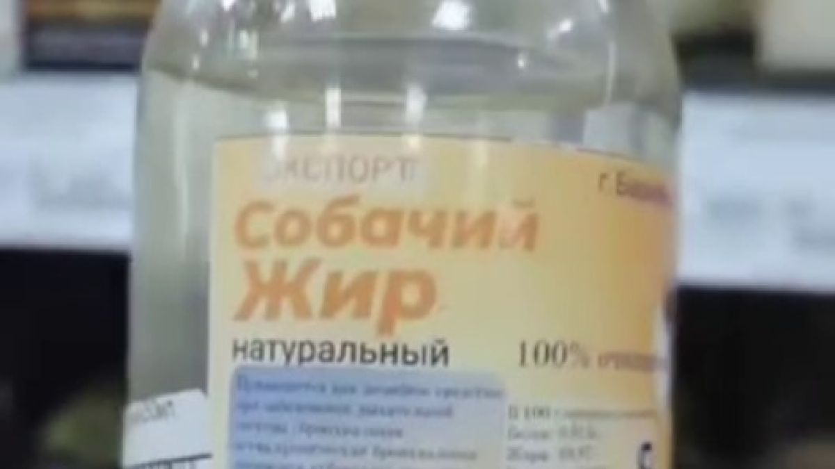 Собачий жир