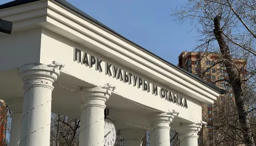 Заманили голубей в туалет: в барнаульском парке активизировались вандалы
