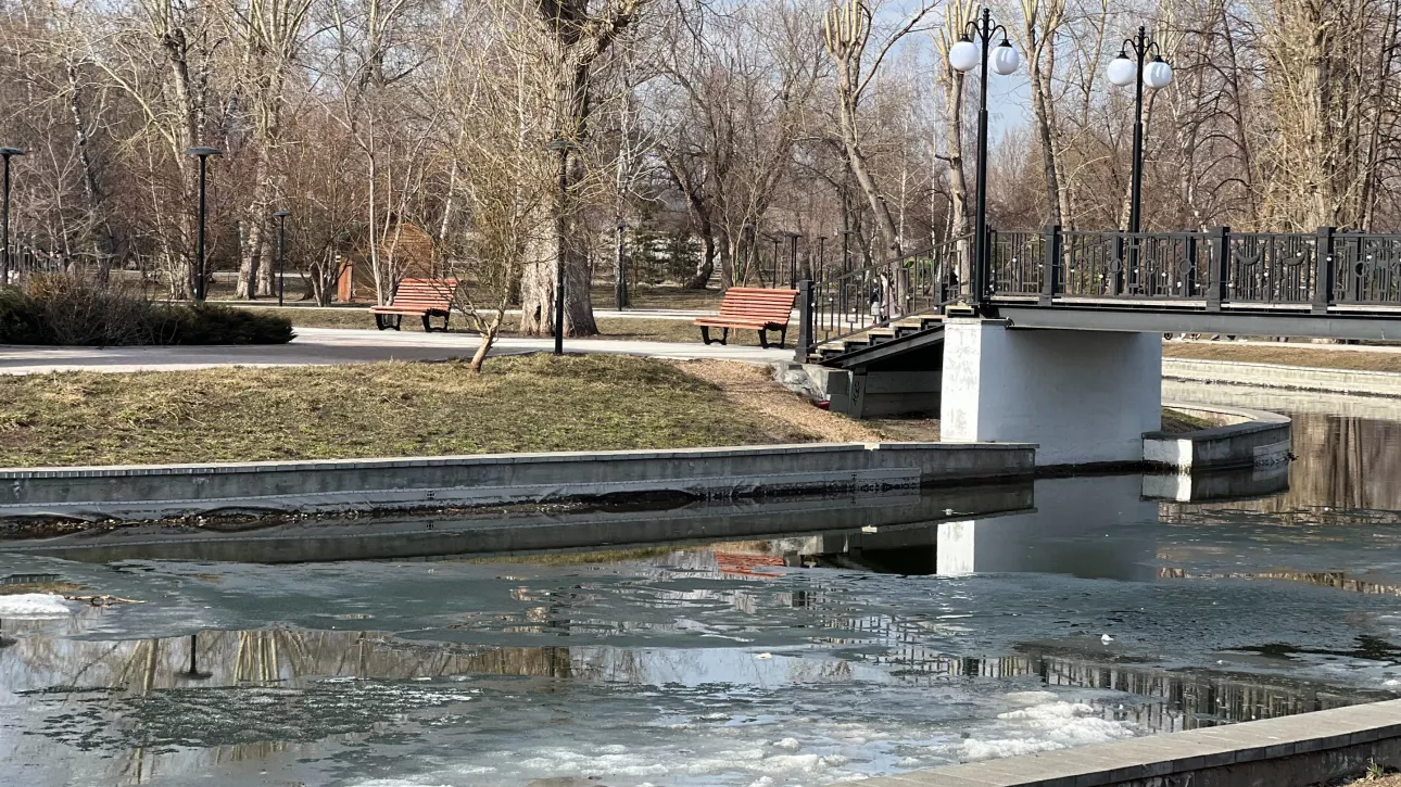 Барнаульцам рассказали, как перезимовала рыба в Изумрудном и почему пруд позеленел