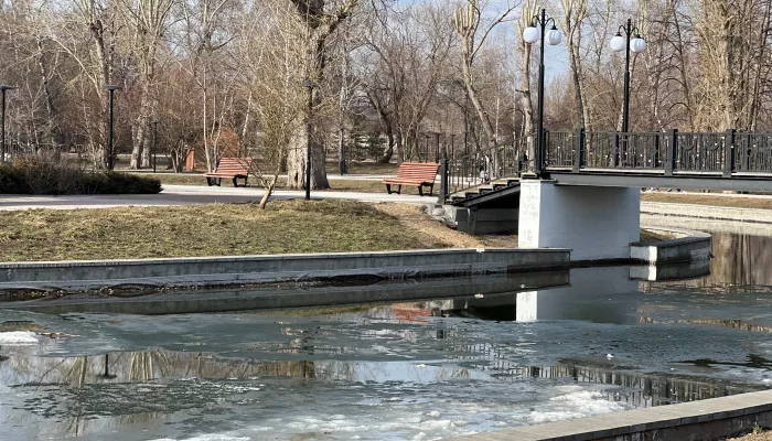 Барнаульцам рассказали, как перезимовала рыба в Изумрудном и почему пруд позеленел