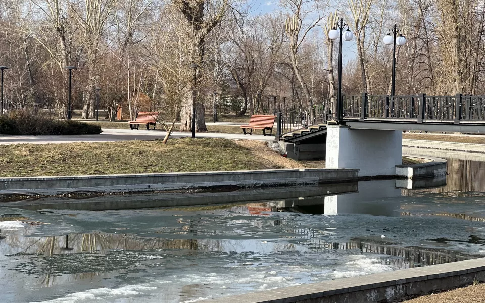 Барнаульцам рассказали, как перезимовала рыба в Изумрудном и почему пруд позеленел