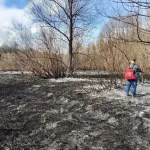 Из-за детской шалости в Горно-Алтайске выгорело 50 соток городской территории