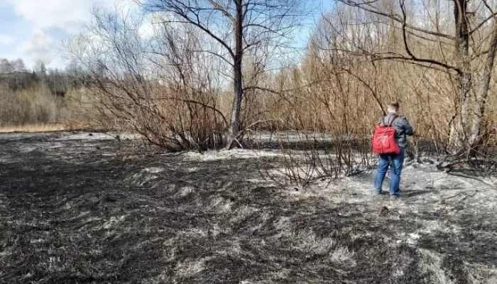 Из-за детской шалости в Горно-Алтайске выгорело 50 соток городской территории