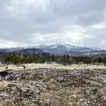 Поисковик раскрыла, как добровольцы ищут семью Усольцевых в тайге