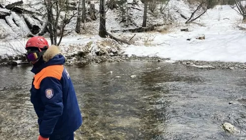 Как сейчас выглядит место, где исчезли Усольцевы. Фото и видео