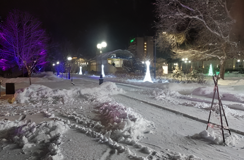 Новогодняя иллюминация Белокурихи в 2025 году