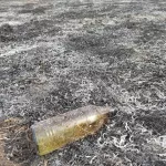 Стеклянная бутылка разожгла пожар на 5 тысячах квадратов в Республике Алтай