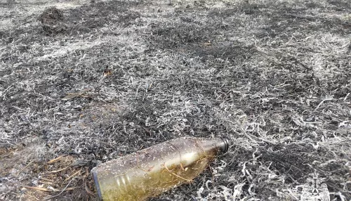 Стеклянная бутылка разожгла пожар на 5 тысячах квадратов в Республике Алтай