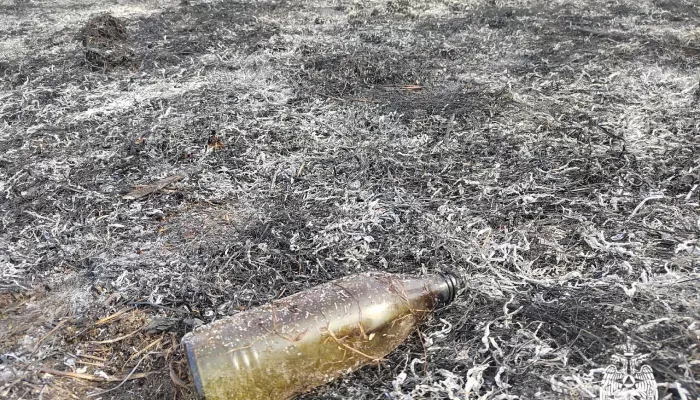 Стеклянная бутылка разожгла пожар на 5 тысячах квадратов в Республике Алтай