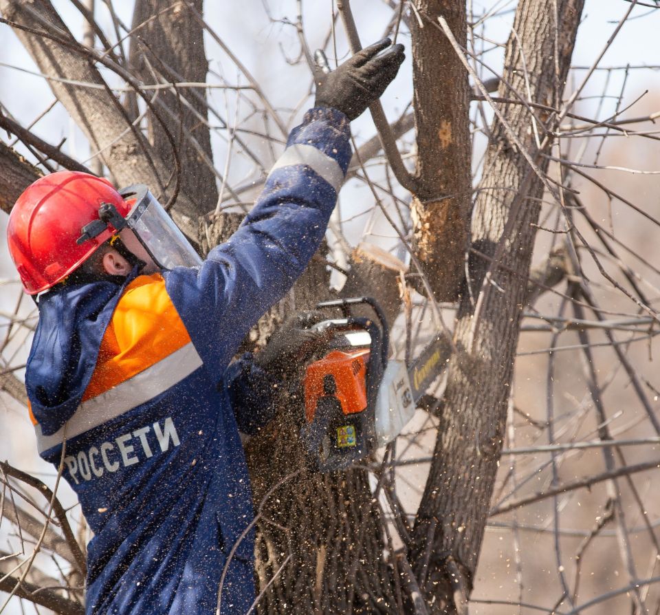 Энергетики "Россети Сибирь" расчищают просеки линий электропередачи в Алтайском крае