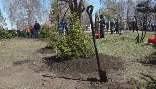 Десятки тысяч барнаульцев вышли на общегородской субботник