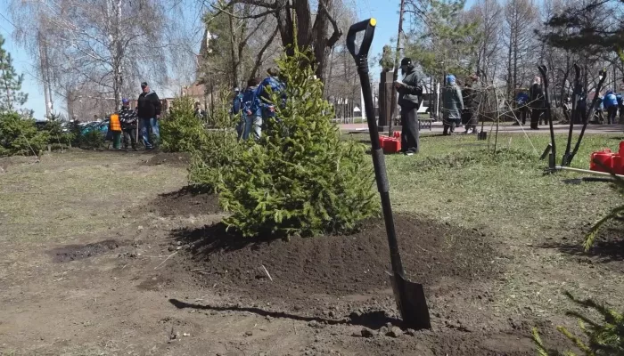 Десятки тысяч барнаульцев вышли на общегородской субботник