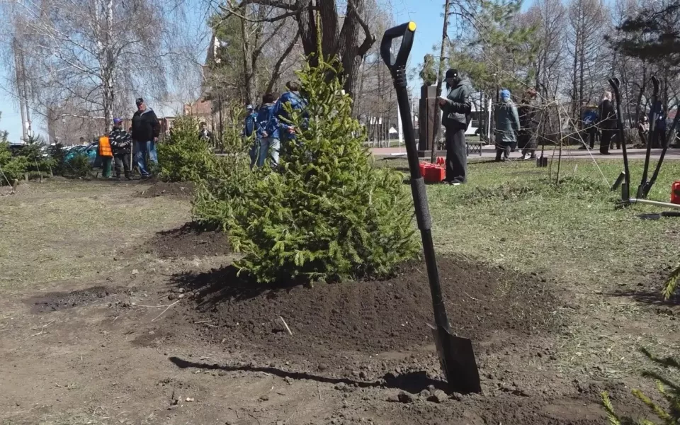Десятки тысяч барнаульцев вышли на общегородской субботник
