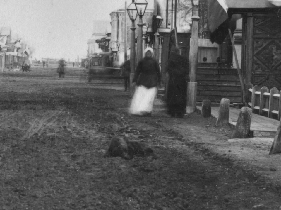 Барнаул. Собака. Фото Сергея Борисова