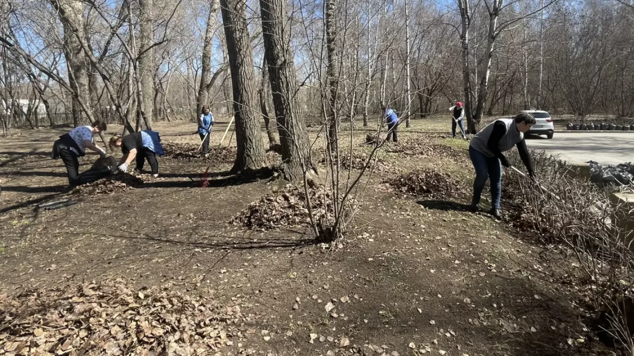 Общегородской субботник прошел во всех районах Барнаула. Фоторепортаж