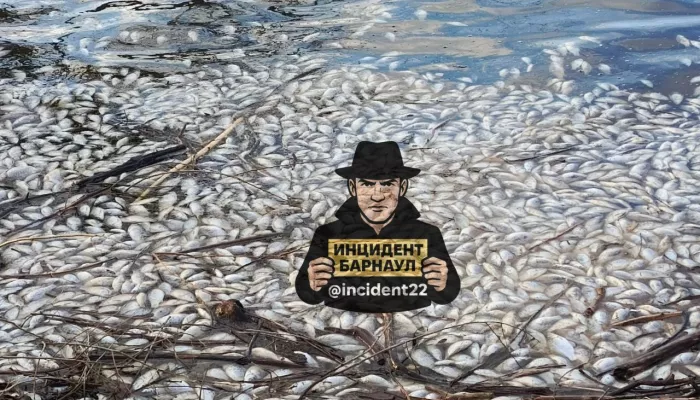 Массовая гибель рыбы произошла в райцентре Завьялово
