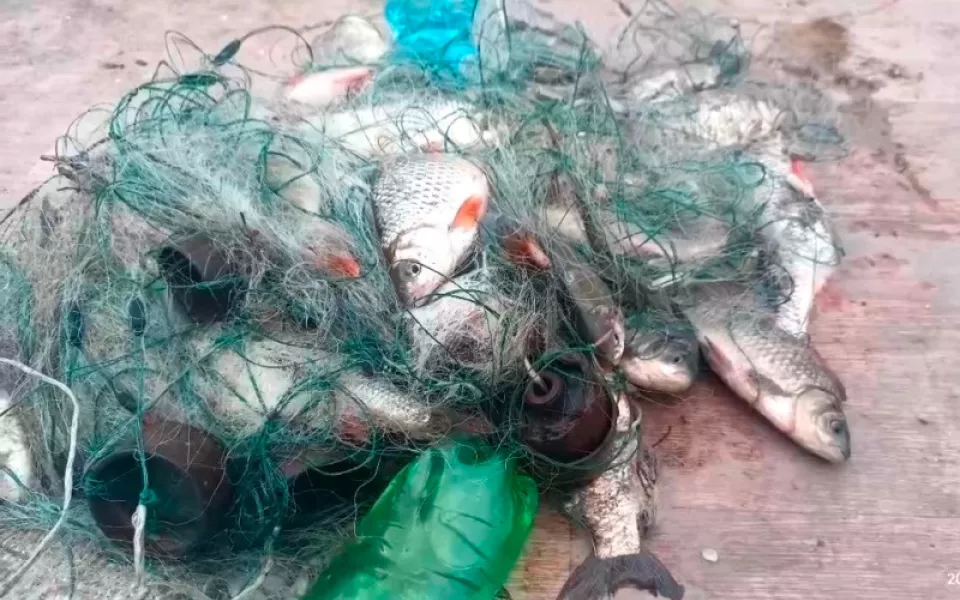 Троим барнаульцам грозит до пяти лет тюрьмы за нелегальную рыбалку