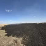 25 пожаров потушили в первые сутки особого противопожарного режима в Алтайском крае