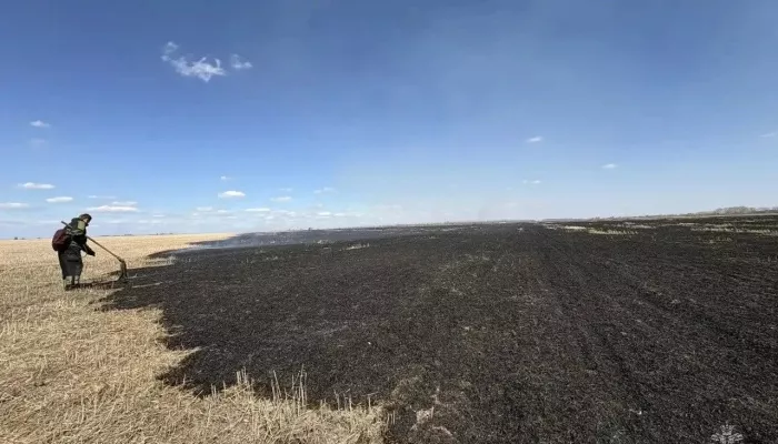 25 пожаров потушили в первые сутки особого противопожарного режима в Алтайском крае