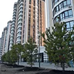 Барнаульцы вместе с мэром высадили сосны на ул. 65 лет Победы: как это было