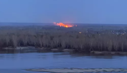 Более 70 термически активных точек зафиксировали в Алтайском крае