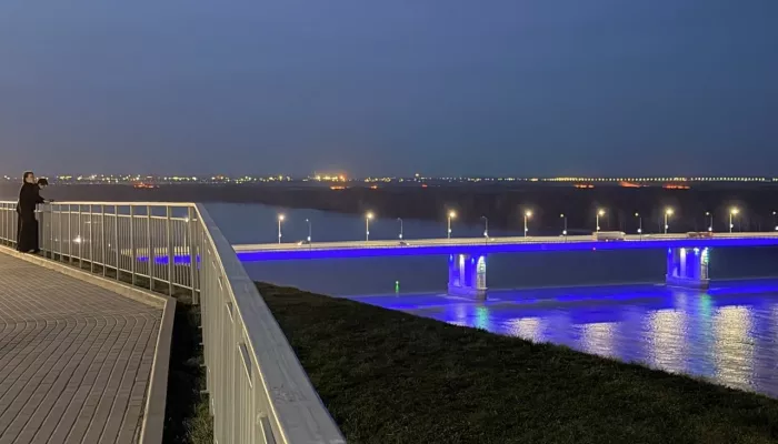 Сразу в нескольких точках под Барнаулом и Бийском загорелись поля. Фото