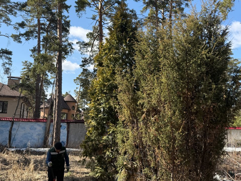 Перенос деревьев