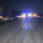 Двое детей и взрослый погибли при столкновении автомобиля с лошадью. Фото