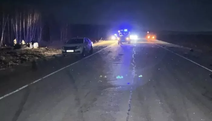 Двое детей и взрослый погибли при столкновении автомобиля с лошадью. Фото