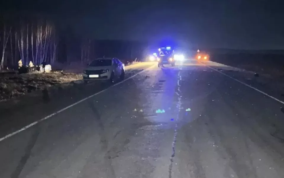 Двое детей и взрослый погибли при столкновении автомобиля с лошадью. Фото