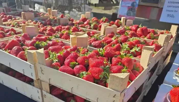 Продовольственные ярмарки в Барнауле пройдут 1 мая