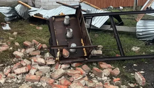 Ураган обрушился на Новосибирскую область. Фото последствий
