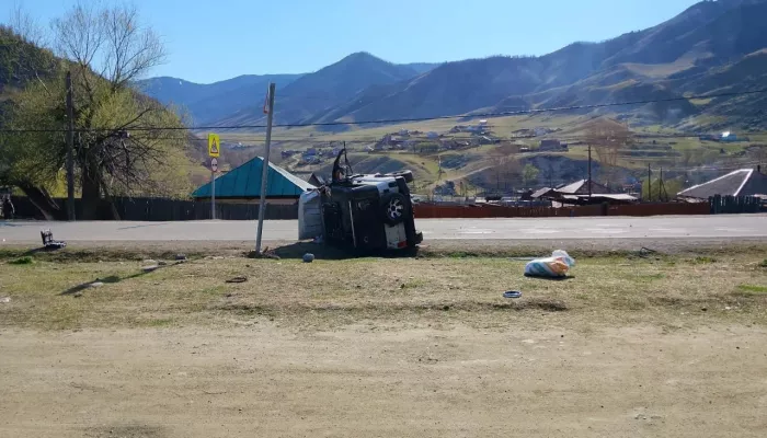 Женщина и двое детей попали в больницу после наезда УАЗа на ЛЭП в Республике Алтай
