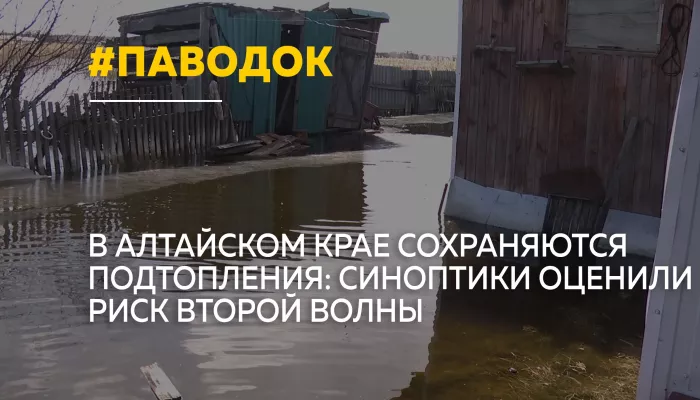 В Алтайском крае подтоплено несколько домов и участков: будет ли вторая волна паводка