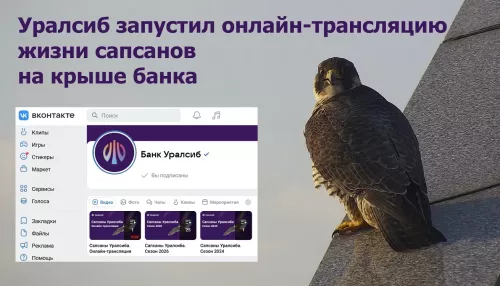 Уралсиб запустил онлайн-трансляцию жизни сапсанов на крыше банка