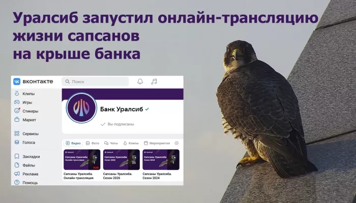 Уралсиб запустил онлайн-трансляцию жизни сапсанов на крыше банка