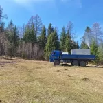 Более 47 млн рублей направят на борьбу с непарным шелкопрядом в Республике Алтай