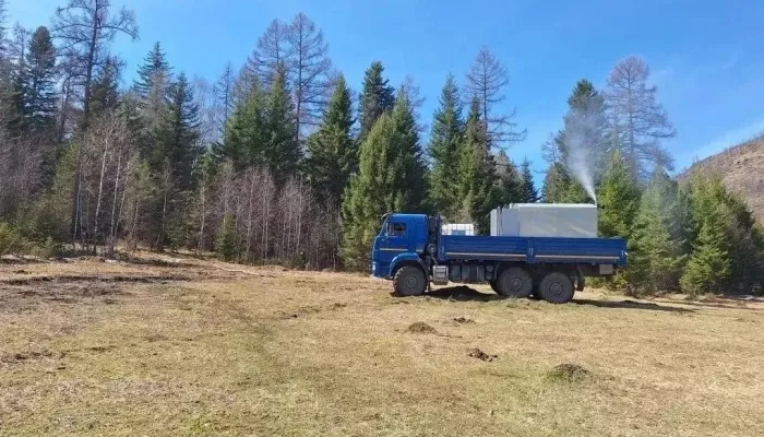 Более 47 млн рублей направят на борьбу с непарным шелкопрядом в Республике Алтай