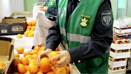 Россия с 10 августа приостанавливает ввоз груш и персиков из Китая