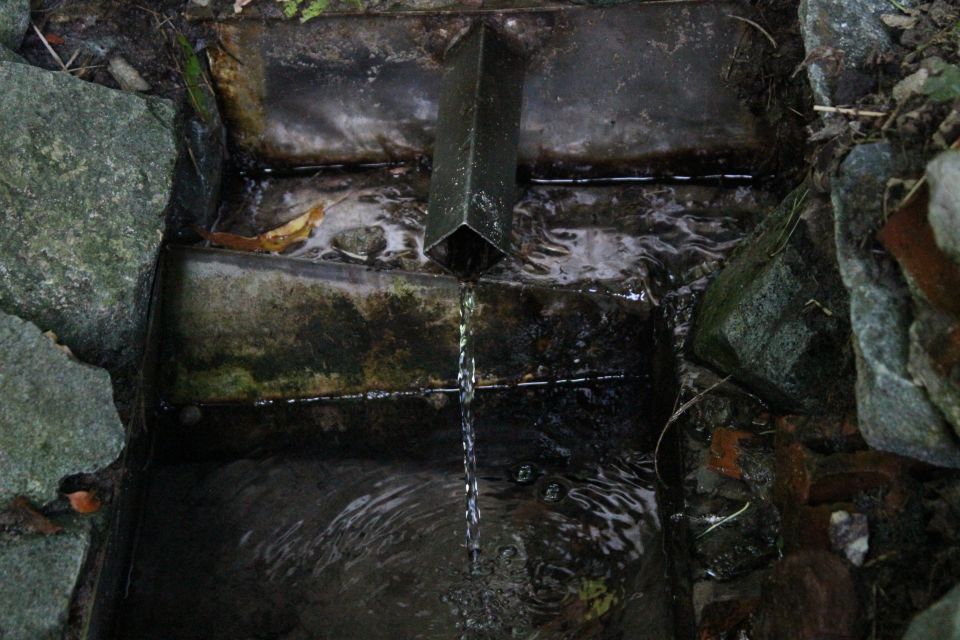 Родник в эко-парке "Позуновъ"