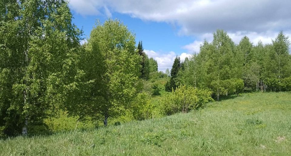 Земельный участок под гостиницу в Тягуне