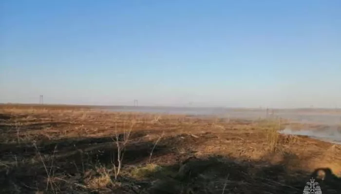 Возле села в Алтайском крае горела сухая трава на полутора тысячах квадратов