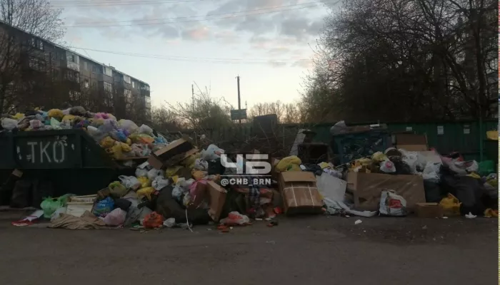 Барнаульцы пожаловались на горы мусора во дворе дома на улице Глушкова