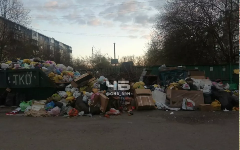 Барнаульцы пожаловались на горы мусора во дворе дома на улице Глушкова
