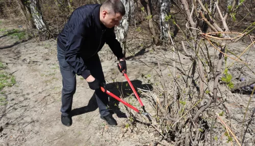 В Барнауле прибрались в роще на Солнечной Поляне, которую благоустроят в 2026 году