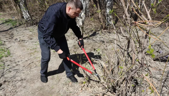 В Барнауле прибрались в роще на Солнечной Поляне, которую благоустроят в 2026 году